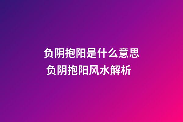负阴抱阳是什么意思 负阴抱阳风水解析